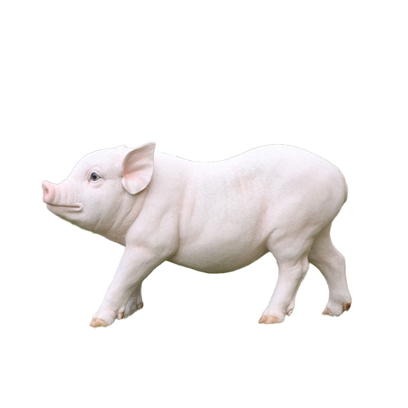 Custom Size Fiberglass Decorative Pig Statuette